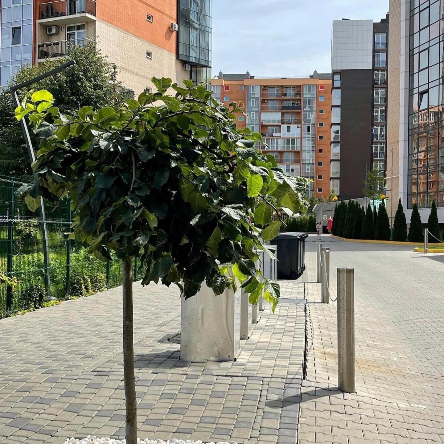 Vodogray Luxury Apartments With Underground Parking Елітний Житловий Комплекс Tjernivtsi Eksteriør billede