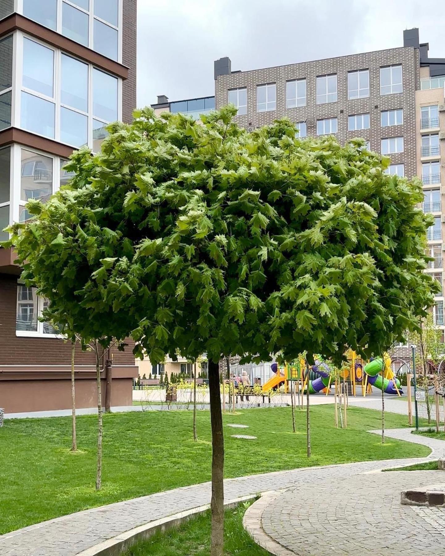 Vodogray Luxury Apartments With Underground Parking Елітний Житловий Комплекс Tjernivtsi Eksteriør billede