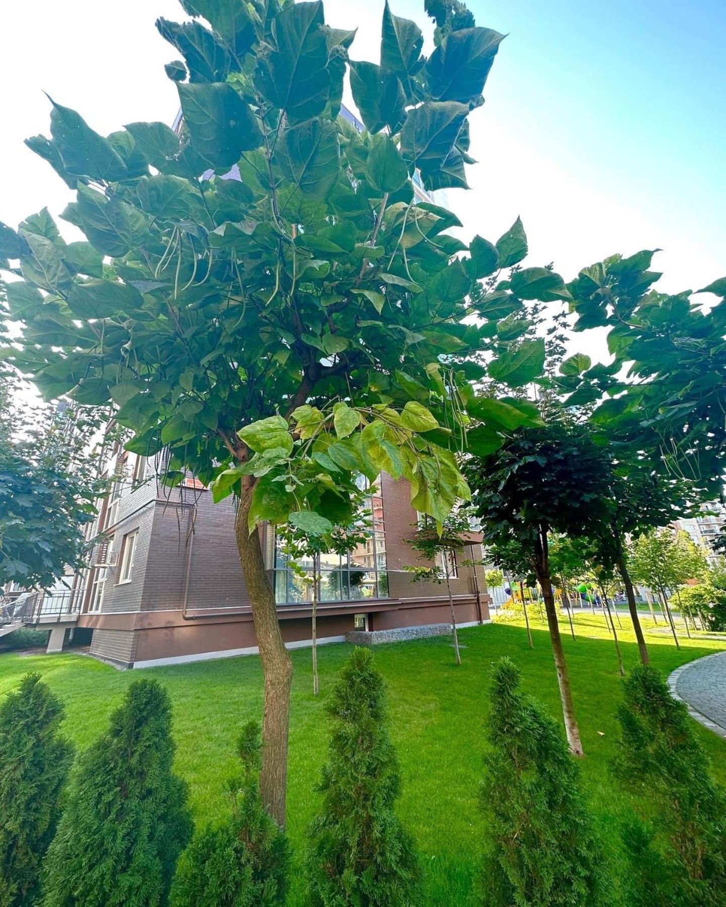 Vodogray Luxury Apartments With Underground Parking Елітний Житловий Комплекс Tjernivtsi Eksteriør billede