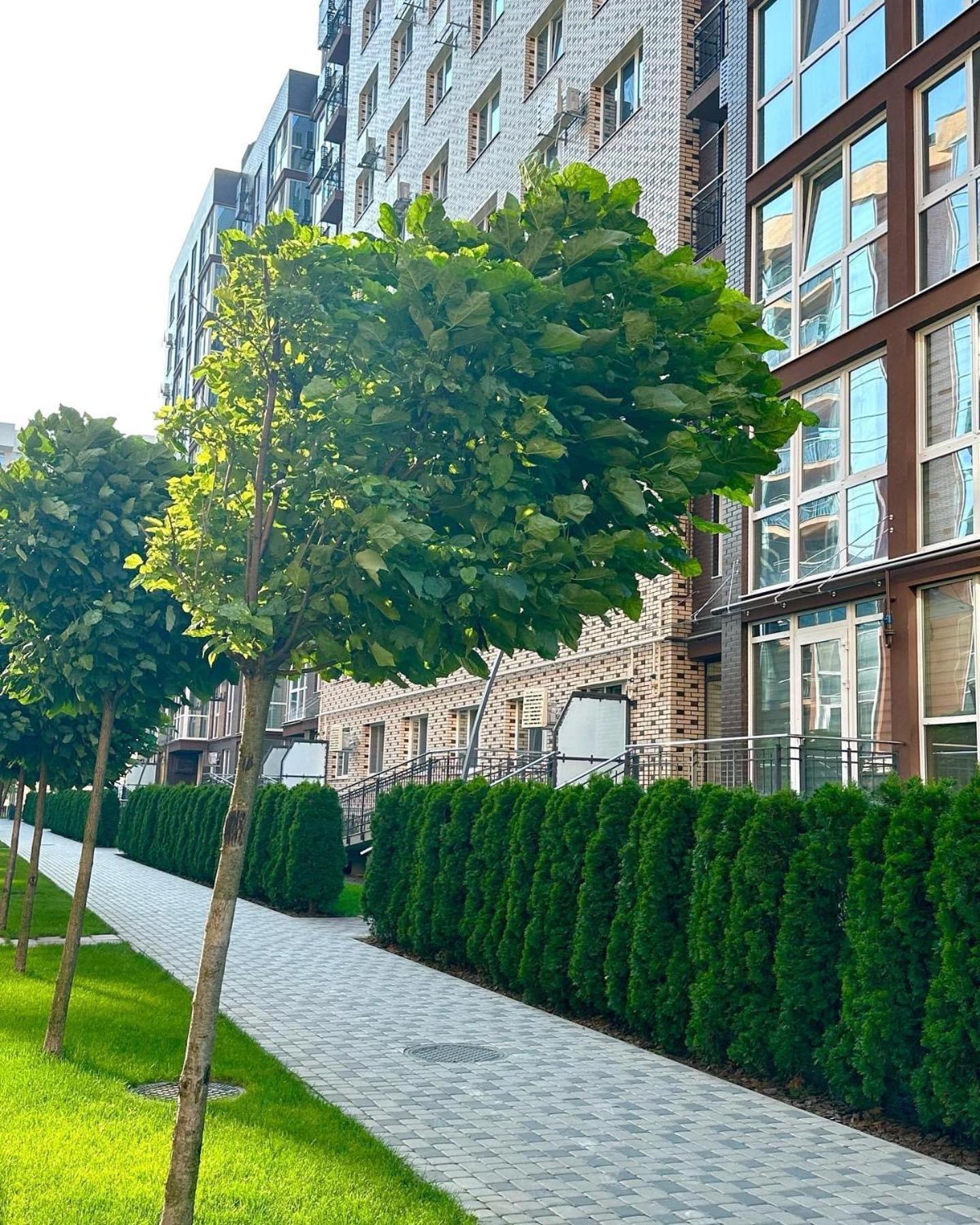 Vodogray Luxury Apartments With Underground Parking Елітний Житловий Комплекс Tjernivtsi Eksteriør billede